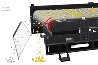 Separatoare cu rotoare magnetice concentrice (ECS-C RAM)